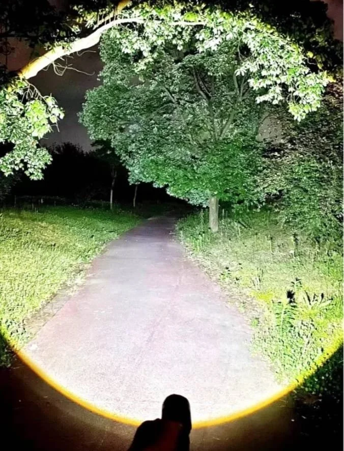 Main Light